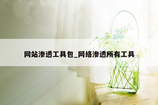 网站渗透工具包_网络渗透所有工具