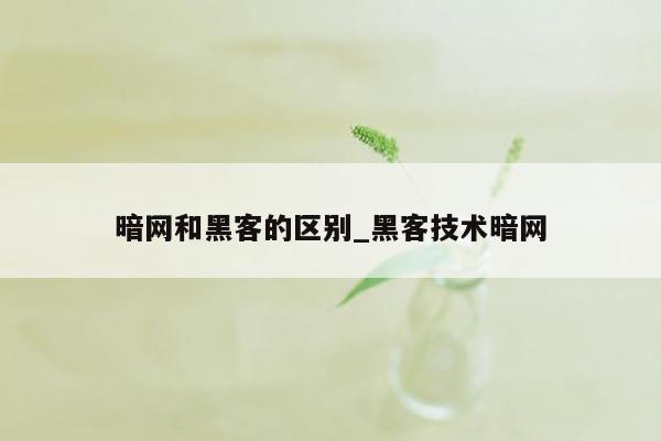 暗网和黑客的区别_黑客技术暗网