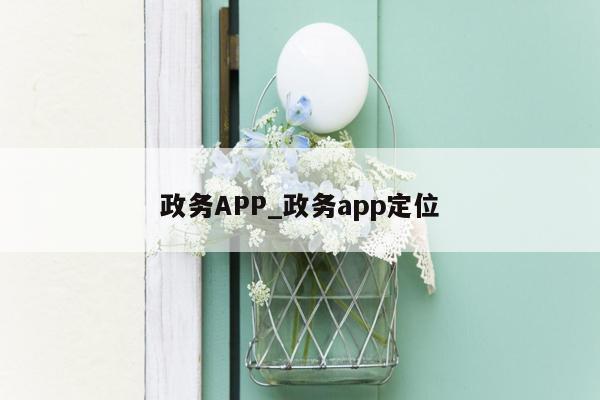 政务APP_政务app定位