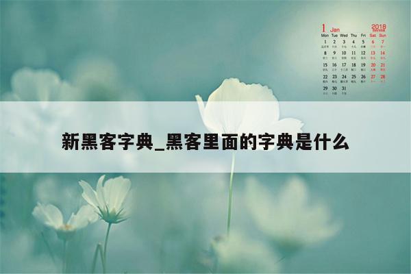 新黑客字典_黑客里面的字典是什么