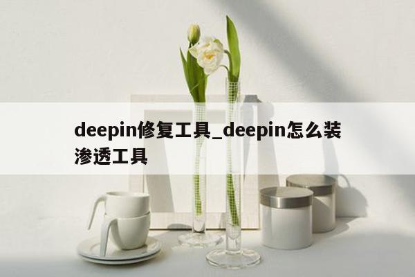 deepin修复工具_deepin怎么装渗透工具