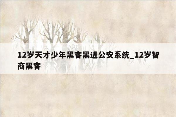 12岁天才少年黑客黑进公安系统_12岁智商黑客