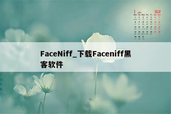 FaceNiff_下载Faceniff黑客软件