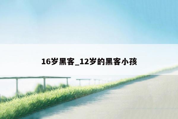 16岁黑客_12岁的黑客小孩