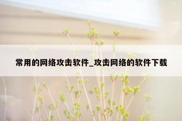 常用的网络攻击软件_攻击网络的软件下载