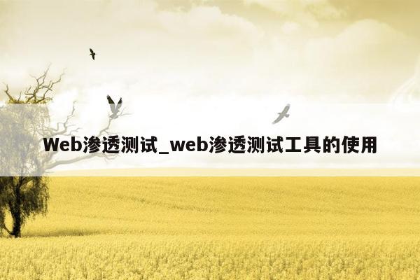 Web渗透测试_web渗透测试工具的使用