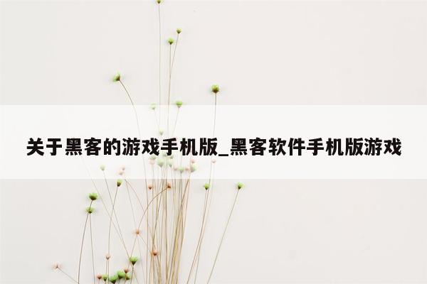 关于黑客的游戏手机版_黑客软件手机版游戏