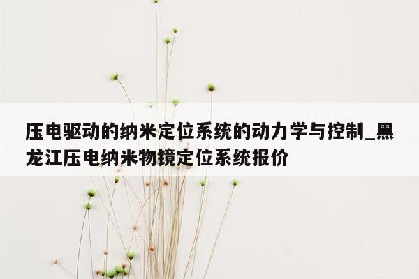 压电驱动的纳米定位系统的动力学与控制_黑龙江压电纳米物镜定位系统报价