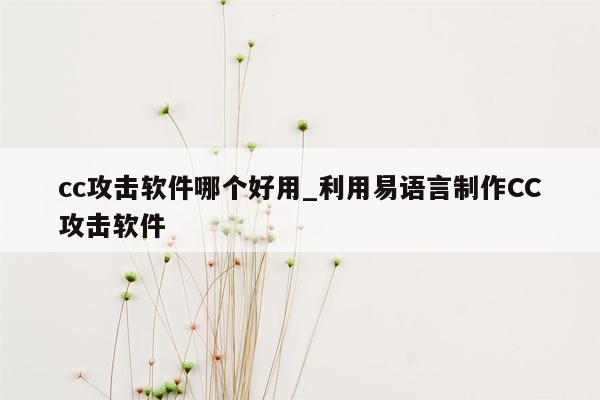 cc攻击软件哪个好用_利用易语言制作CC攻击软件