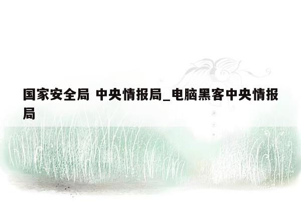 国家安全局 中央情报局_电脑黑客中央情报局