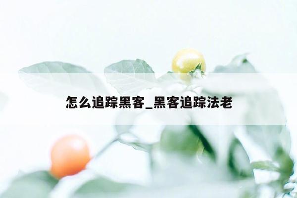 怎么追踪黑客_黑客追踪法老