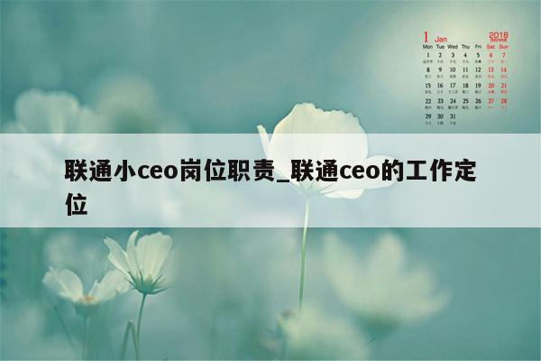 联通小ceo岗位职责_联通ceo的工作定位