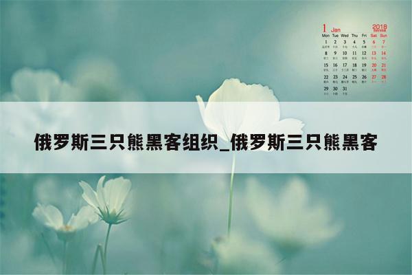 俄罗斯三只熊黑客组织_俄罗斯三只熊黑客