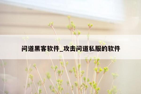 问道黑客软件_攻击问道私服的软件