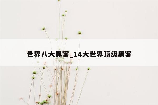 世界八大黑客_14大世界顶级黑客