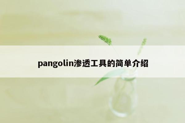 pangolin渗透工具的简单介绍