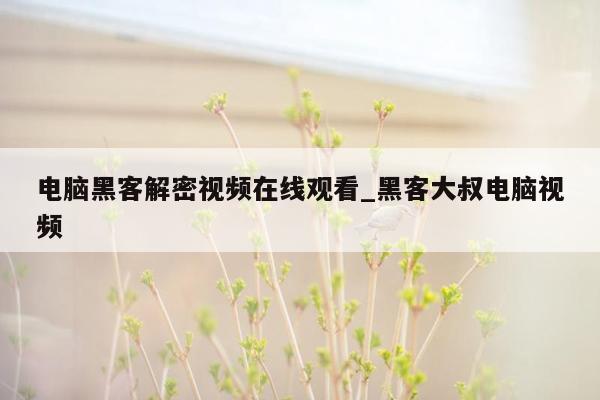 电脑黑客解密视频在线观看_黑客大叔电脑视频