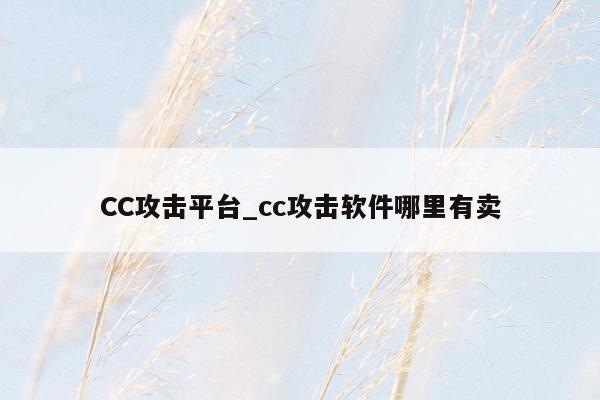 CC攻击平台_cc攻击软件哪里有卖