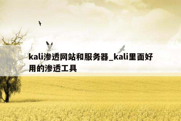 kali渗透网站和服务器_kali里面好用的渗透工具