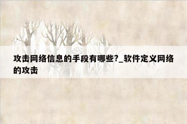 攻击网络信息的手段有哪些?_软件定义网络的攻击