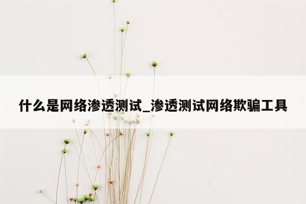 什么是网络渗透测试_渗透测试网络欺骗工具