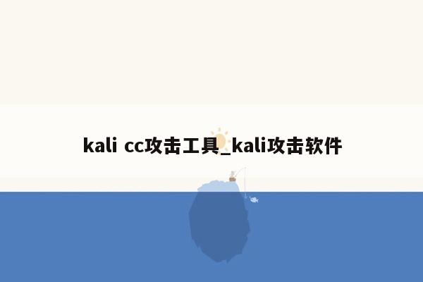 kali cc攻击工具_kali攻击软件