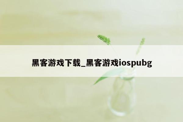 黑客游戏下载_黑客游戏iospubg