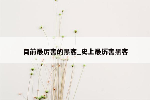 目前最厉害的黑客_史上最历害黑客