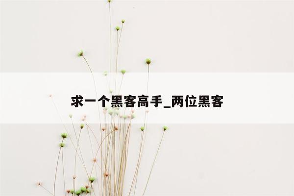 求一个黑客高手_两位黑客