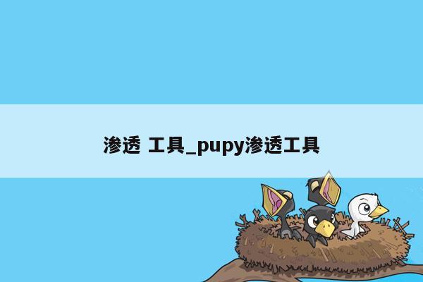 渗透 工具_pupy渗透工具