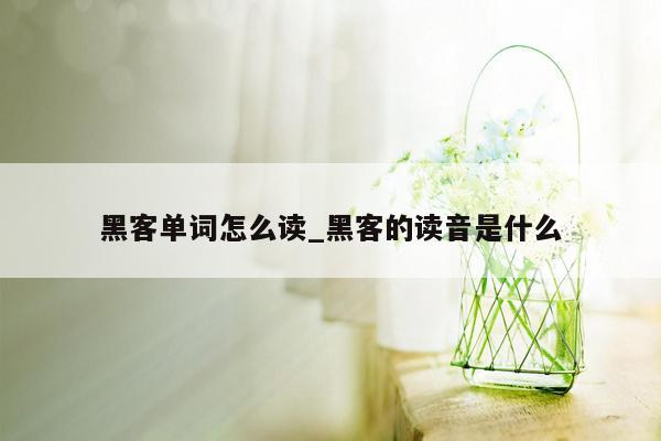 黑客单词怎么读_黑客的读音是什么