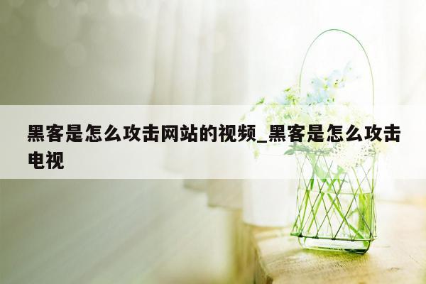 黑客是怎么攻击网站的视频_黑客是怎么攻击电视