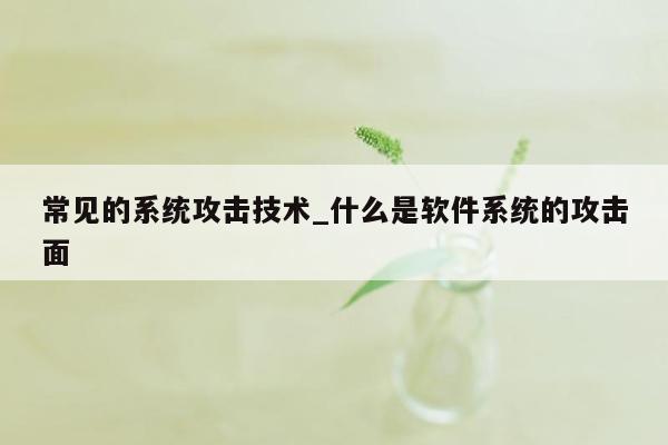 常见的系统攻击技术_什么是软件系统的攻击面