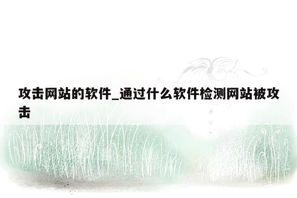 攻击网站的软件_通过什么软件检测网站被攻击