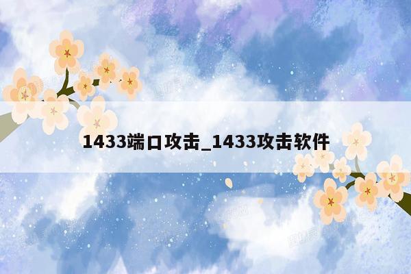 1433端口攻击_1433攻击软件