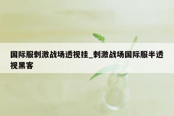 国际服刺激战场透视挂_刺激战场国际服半透视黑客