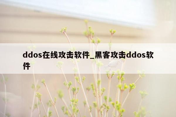 ddos在线攻击软件_黑客攻击ddos软件