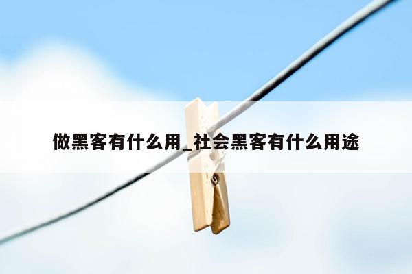 做黑客有什么用_社会黑客有什么用途