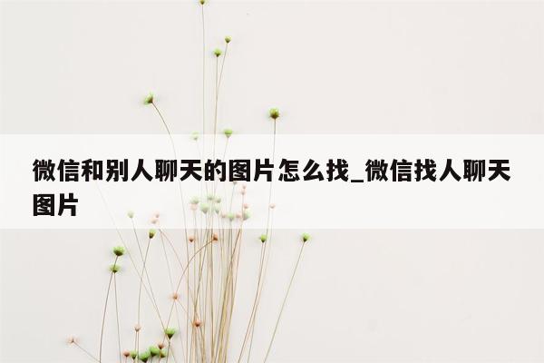 微信和别人聊天的图片怎么找_微信找人聊天图片