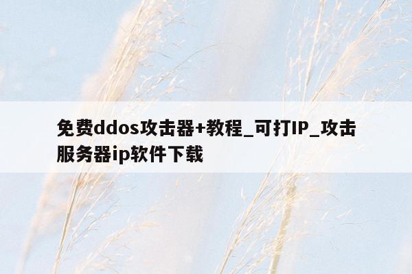 免费ddos攻击器+教程_可打IP_攻击服务器ip软件下载