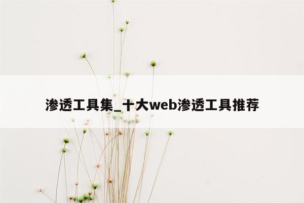 渗透工具集_十大web渗透工具推荐