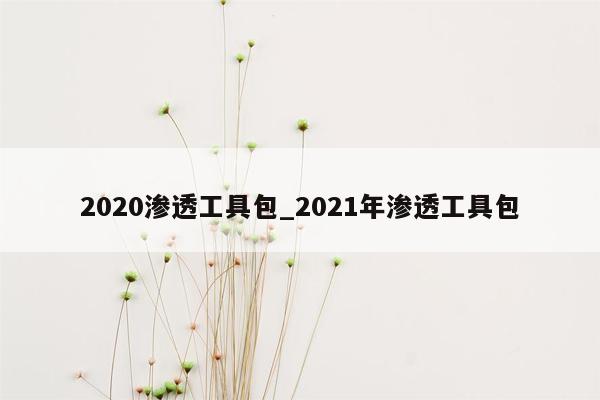 2020渗透工具包_2021年渗透工具包