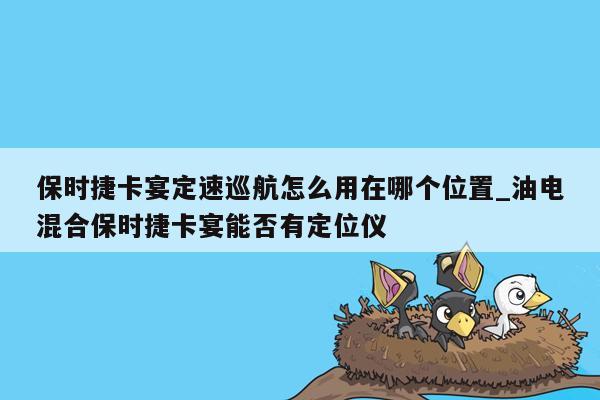 保时捷卡宴定速巡航怎么用在哪个位置_油电混合保时捷卡宴能否有定位仪