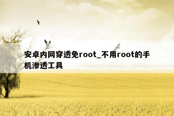 安卓内网穿透免root_不用root的手机渗透工具