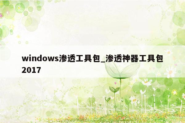 windows渗透工具包_渗透神器工具包2017