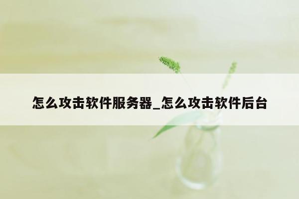 怎么攻击软件服务器_怎么攻击软件后台