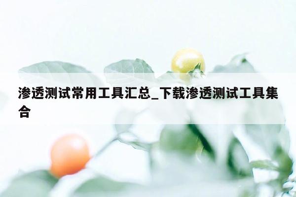 渗透测试常用工具汇总_下载渗透测试工具集合