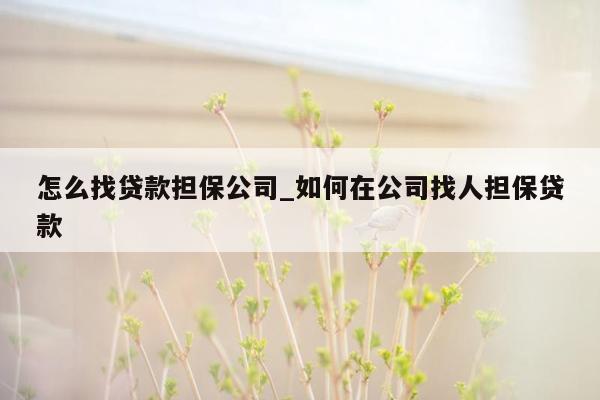 怎么找贷款担保公司_如何在公司找人担保贷款