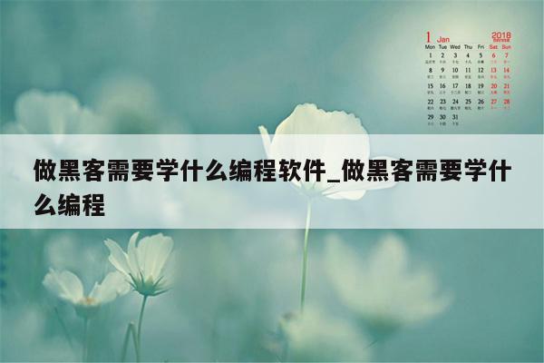 做黑客需要学什么编程软件_做黑客需要学什么编程