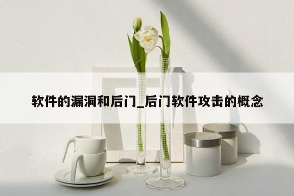 软件的漏洞和后门_后门软件攻击的概念